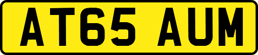 AT65AUM