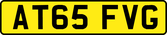 AT65FVG