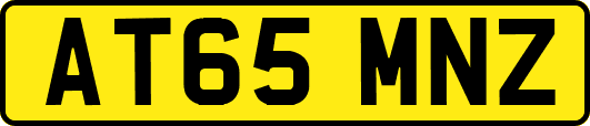 AT65MNZ