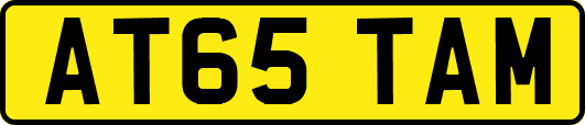 AT65TAM