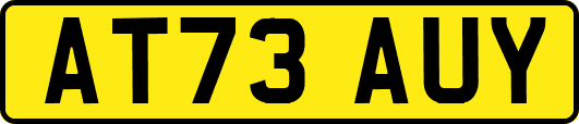 AT73AUY