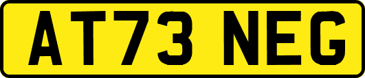 AT73NEG