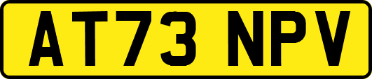 AT73NPV