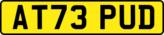 AT73PUD