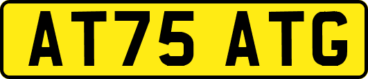 AT75ATG