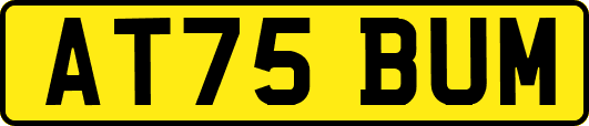 AT75BUM
