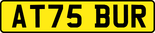 AT75BUR