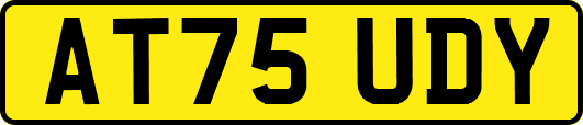 AT75UDY