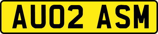 AU02ASM