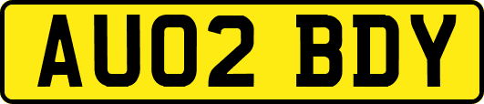 AU02BDY