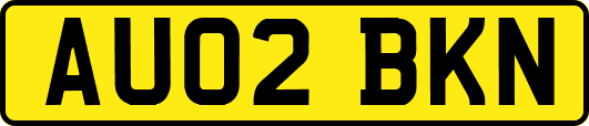 AU02BKN