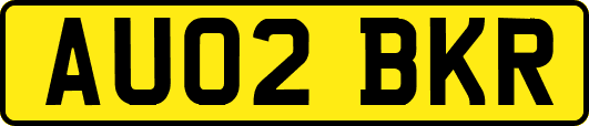 AU02BKR