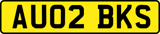 AU02BKS