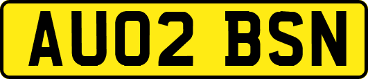 AU02BSN