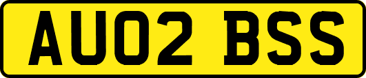 AU02BSS