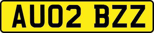 AU02BZZ