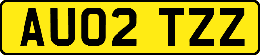 AU02TZZ