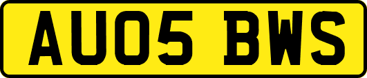 AU05BWS