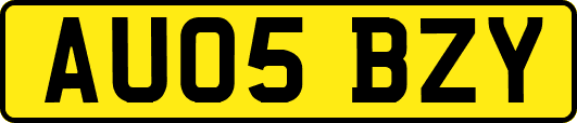 AU05BZY