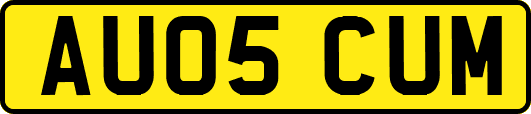 AU05CUM