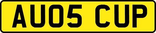 AU05CUP