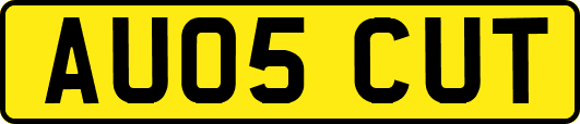 AU05CUT