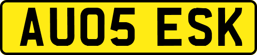 AU05ESK