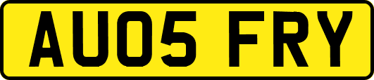 AU05FRY