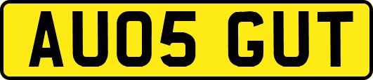 AU05GUT
