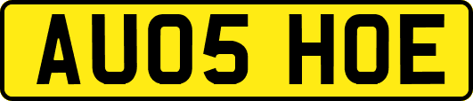 AU05HOE