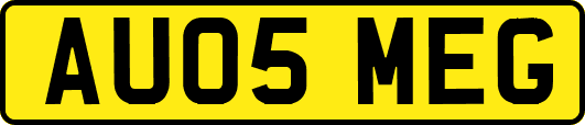 AU05MEG