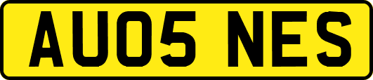 AU05NES