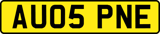 AU05PNE