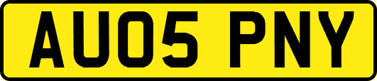 AU05PNY