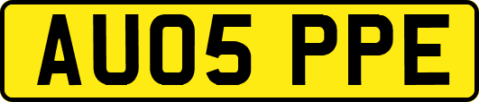 AU05PPE