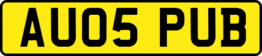 AU05PUB
