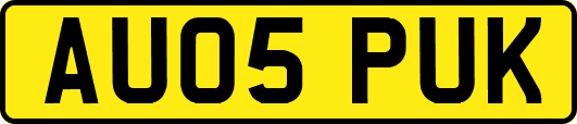 AU05PUK
