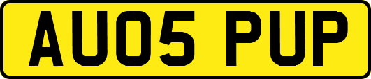 AU05PUP