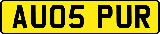 AU05PUR