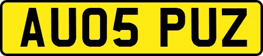 AU05PUZ