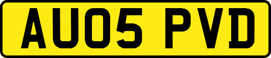 AU05PVD