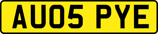 AU05PYE