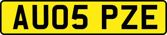 AU05PZE