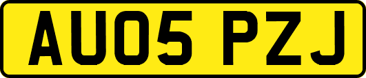 AU05PZJ