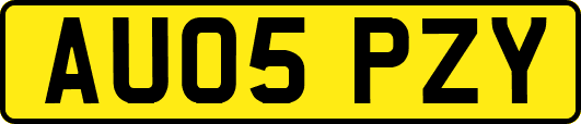 AU05PZY
