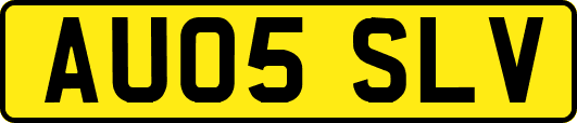 AU05SLV