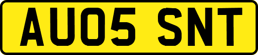 AU05SNT