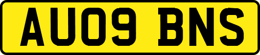 AU09BNS