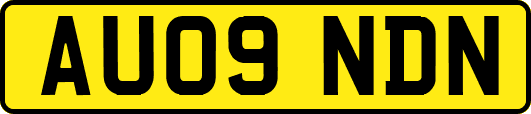 AU09NDN