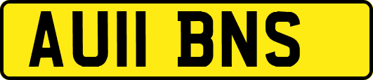 AU11BNS